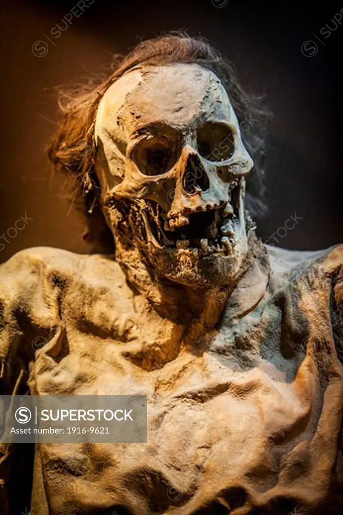 Museum of the Mummies, Guanajuato, state Guanajuato, Mexico