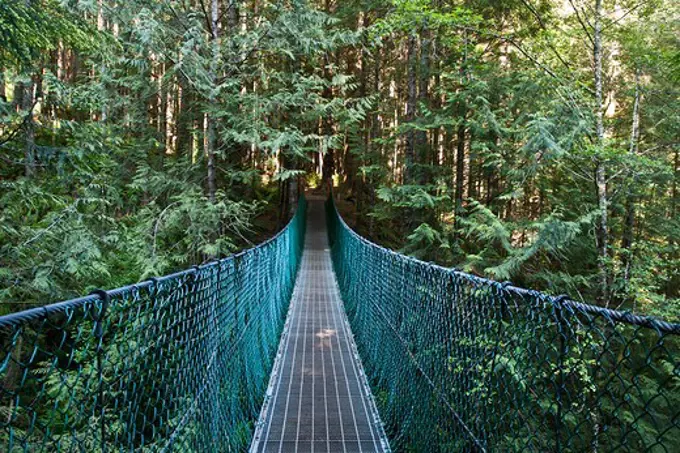 Suspension Bridge in the Juan de Fuca Marine Trail. Vancouver Island. British Columbia, Canada