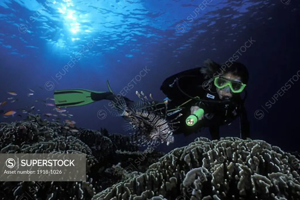 Bismarck Sea Fathers reefs Diver w lionfish sunburst