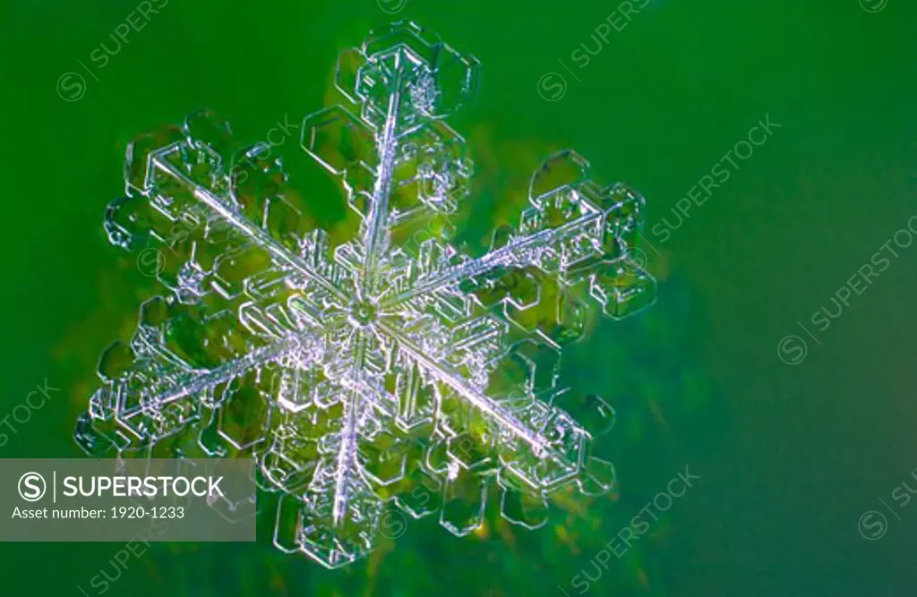 Individual snowflakes are difficult to photograph because they melt quickly unless it is extremely cold Their delicate crystal shapes usually form a hexagon pattern and no two snowflakes are ever identical or alike