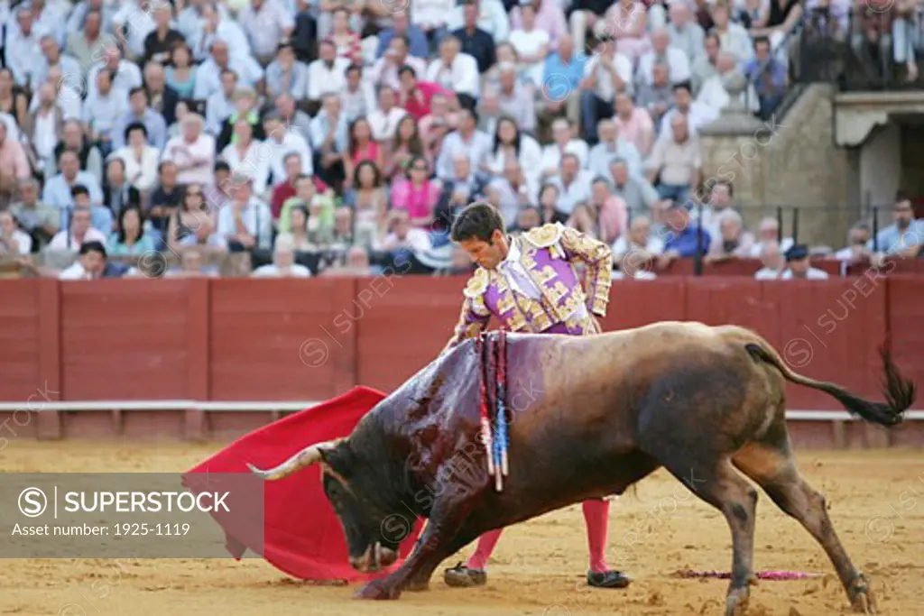 Antonio Manuel Punta  Spanish bullfighter Taken during a bullfight at the Real Maestranza bullring  Seville  Spain  on 15 June 2006