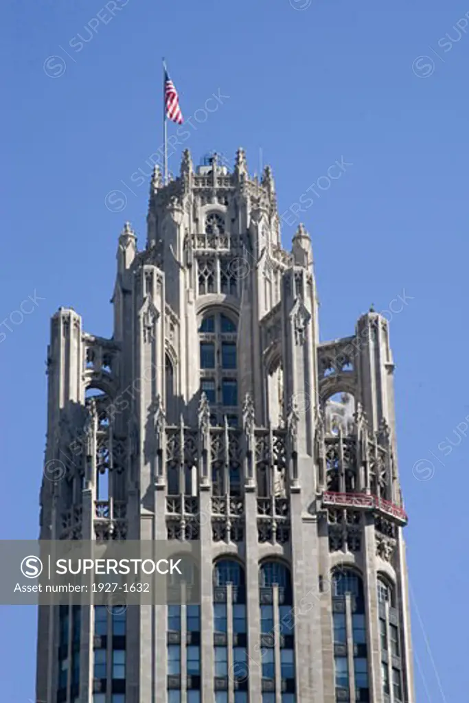 Gothic detailing atop the Tribune Tower Chicago  Illinois