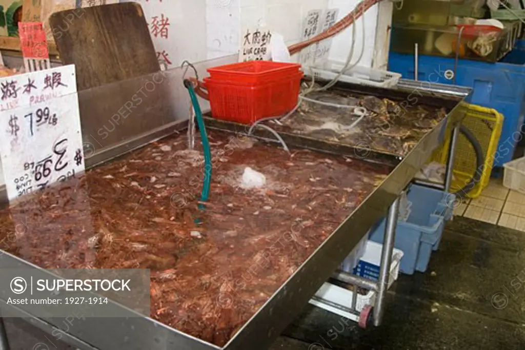 Tanks holding live prawns and crabs for sale Chinatown Vancouver  Canada