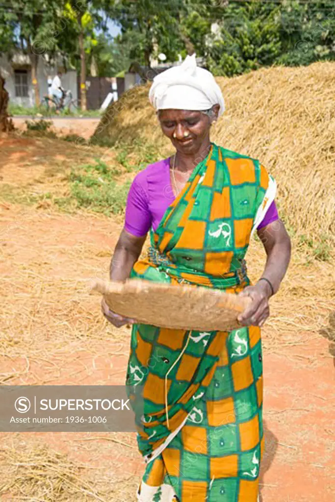 Woman sifting husks from rice  Tamil Nadu  India