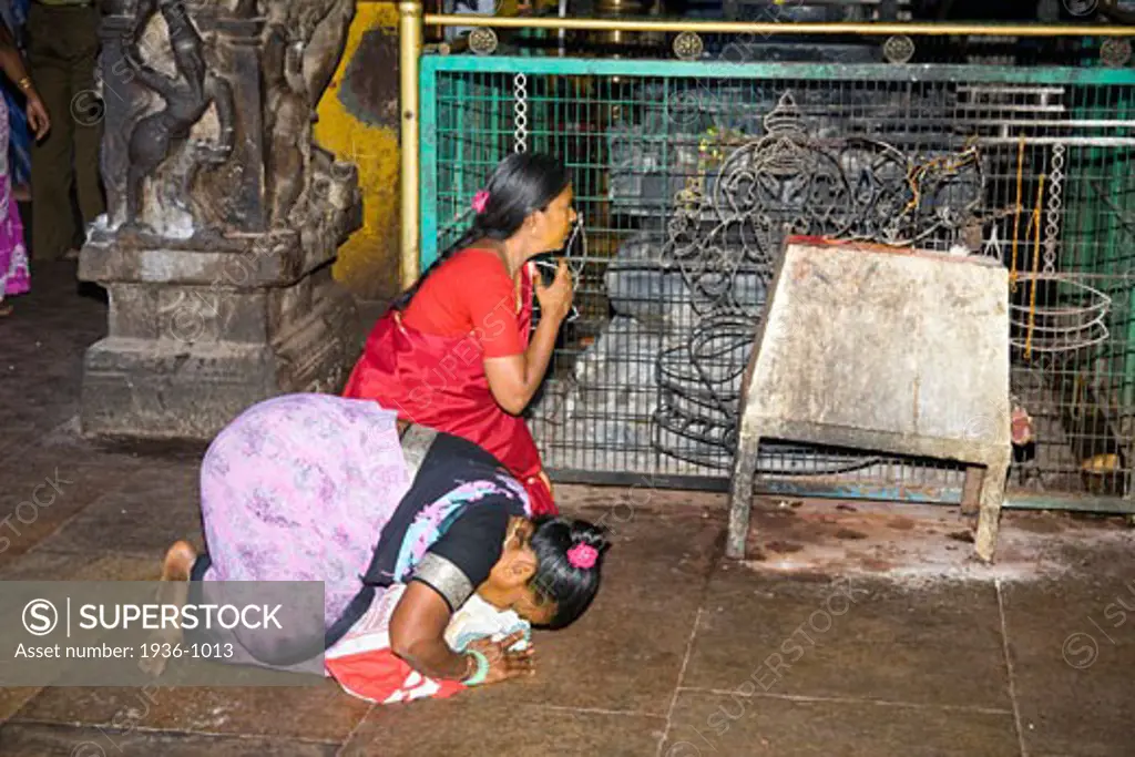 Female worshipers praying in front of a shrine  Meenakshi Temple  Madurai  Tamil Nadu  India