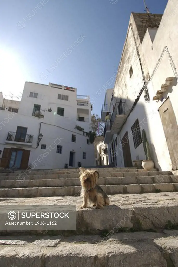 Winter scenes of Dalt Vila and La Marina area where thousands of people crowd the streets during the summer season
