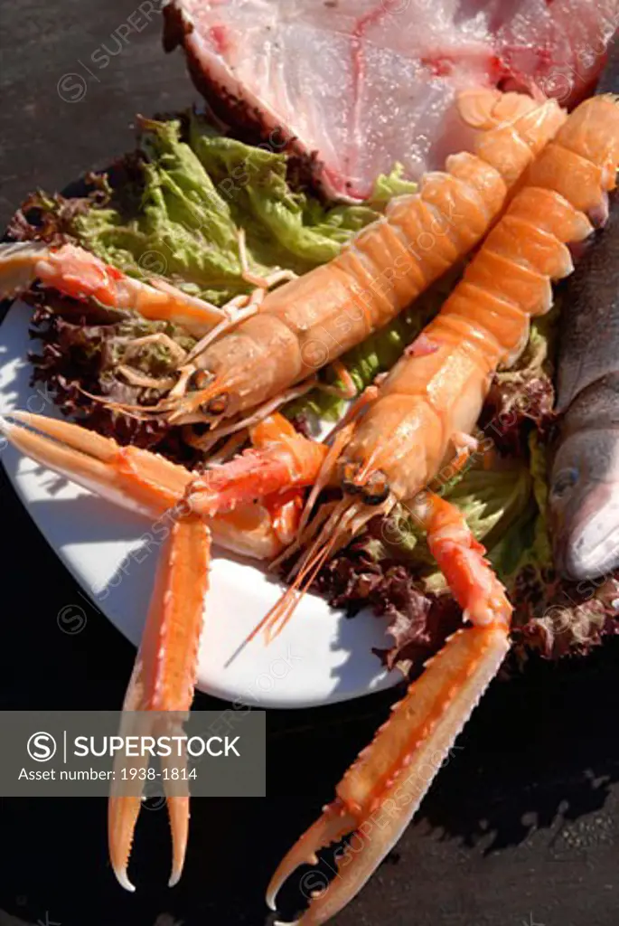 Assorted fresh crayfish on the table of a coastal ibizan restaurant called Sa Escollera in Ibiza Balearic Islands Spain