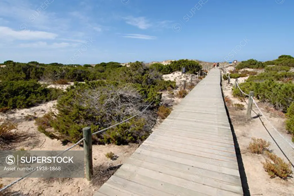 Travel Images of Formentera  Balearic Islands  Spain
