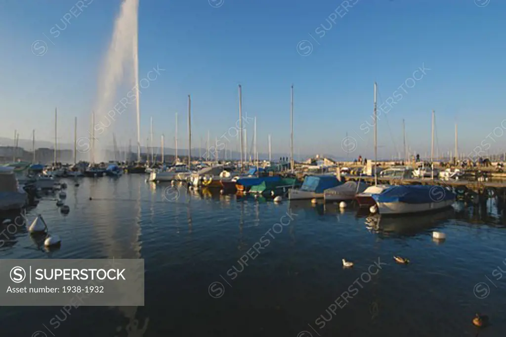 View of Jet D eau and boats in the port  Geneva  Switzerland