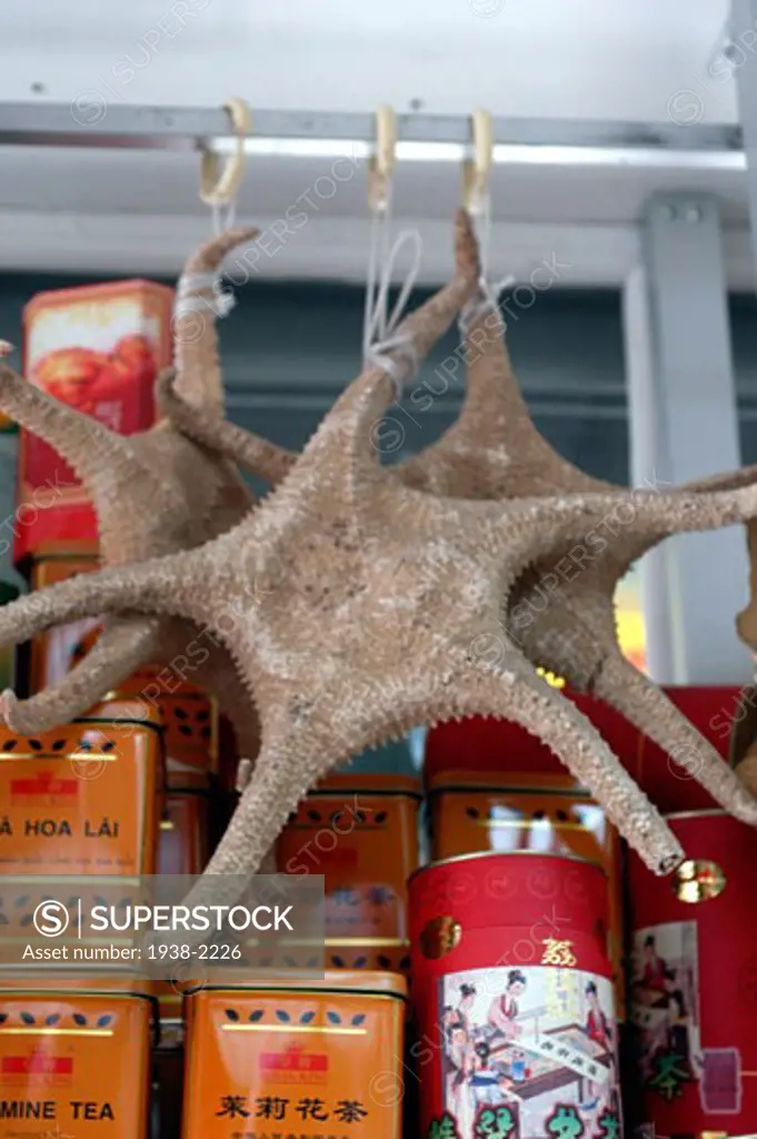 Seastars and dried sea food for sale in a tradicional chinese medicine shop in Chinatown  New York City
