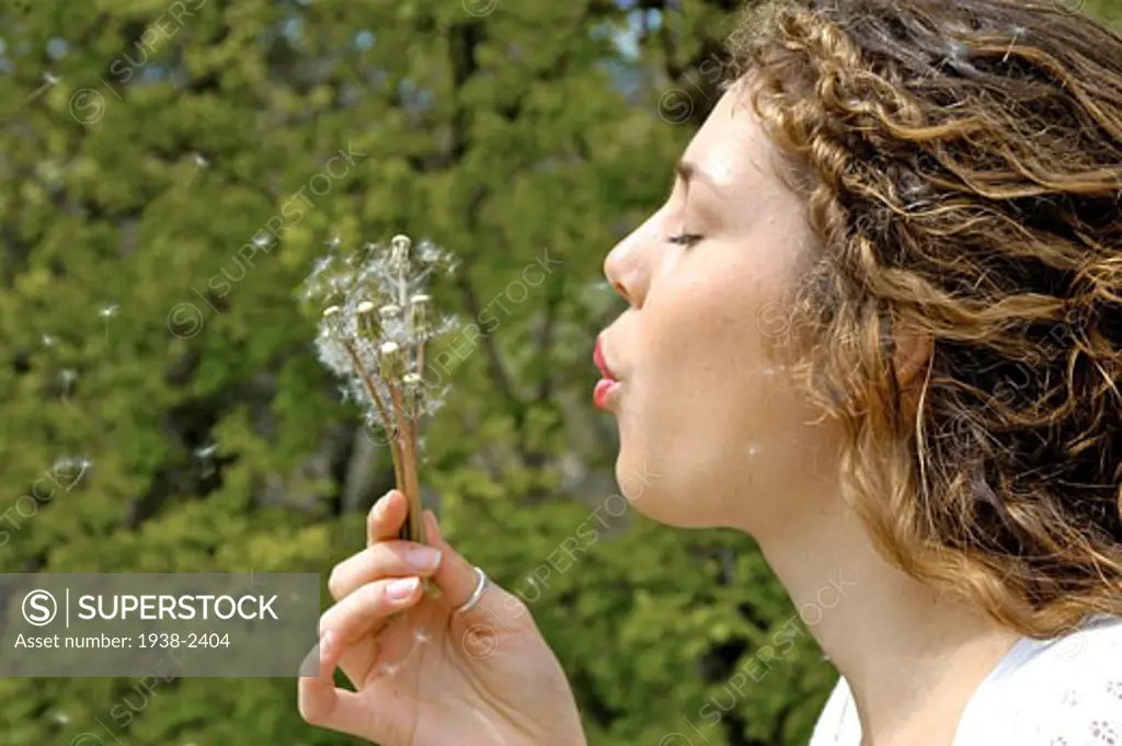 MODEL RELEASED Young woman blowing a dandelion flower