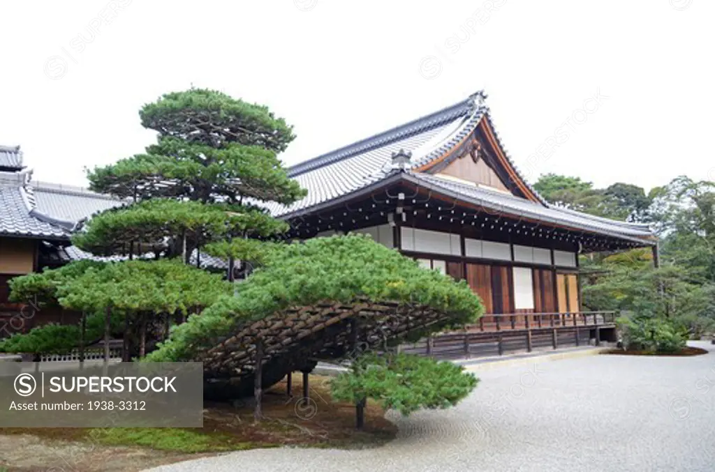 Temple of The Golden Pavilion, Kinkaku-ji Temple, Kyoto Prefecture, Honshu, Japan