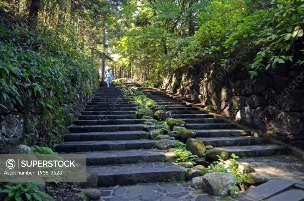 Steps ascending on path, Nikko, Tochigi Prefecture, Kanto Region, Honshu, Japan