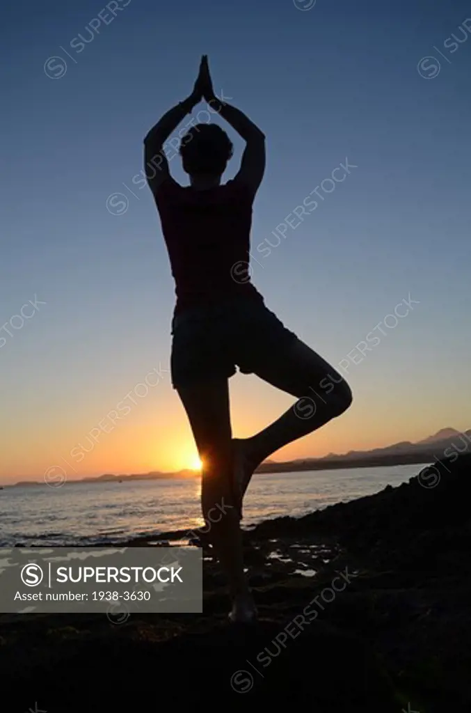 Young woman in tree pose, on the coast