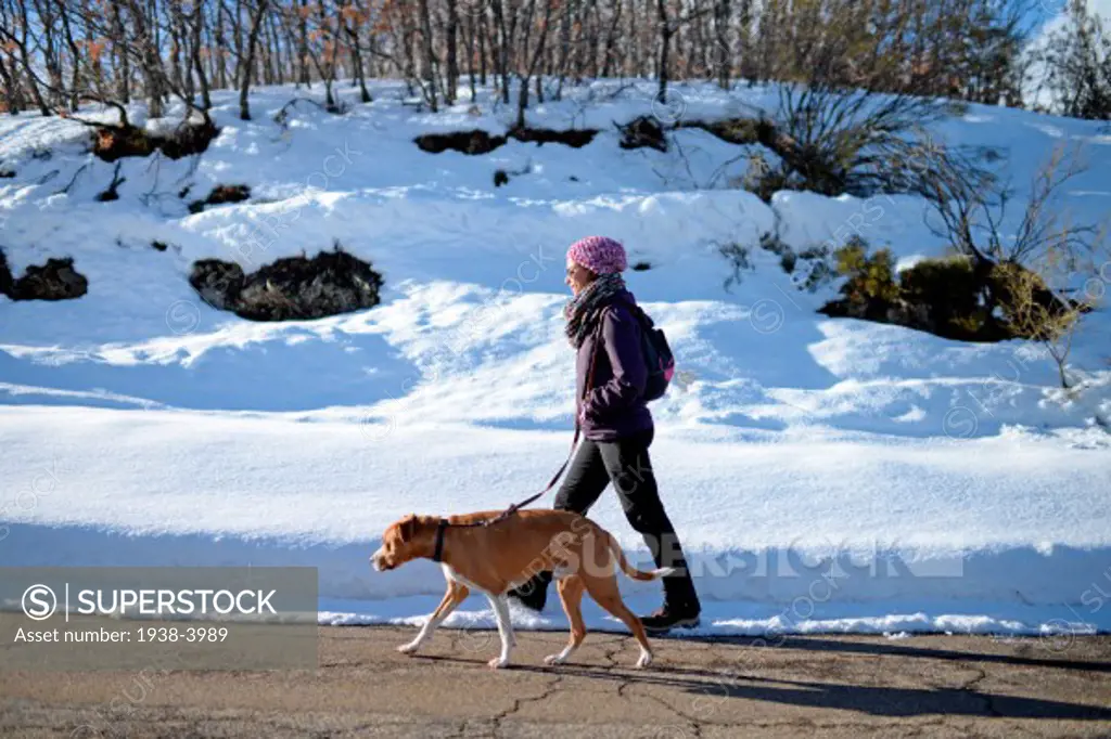 Young woman walks with her dog in winter environment