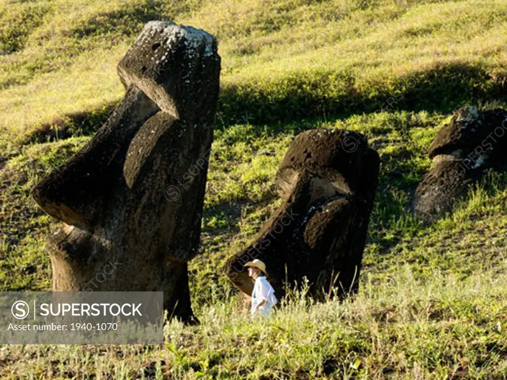 Dwarfing visitors  giant stone moai ancestral spirit figures stand at the quarry site of Rano Raraku  Easter Island  Chile