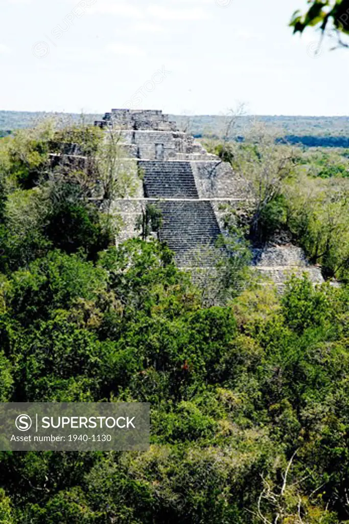 One of the many ancient Maya pyramids of Calakmul pokes through the jungle canopy of the Yucatan