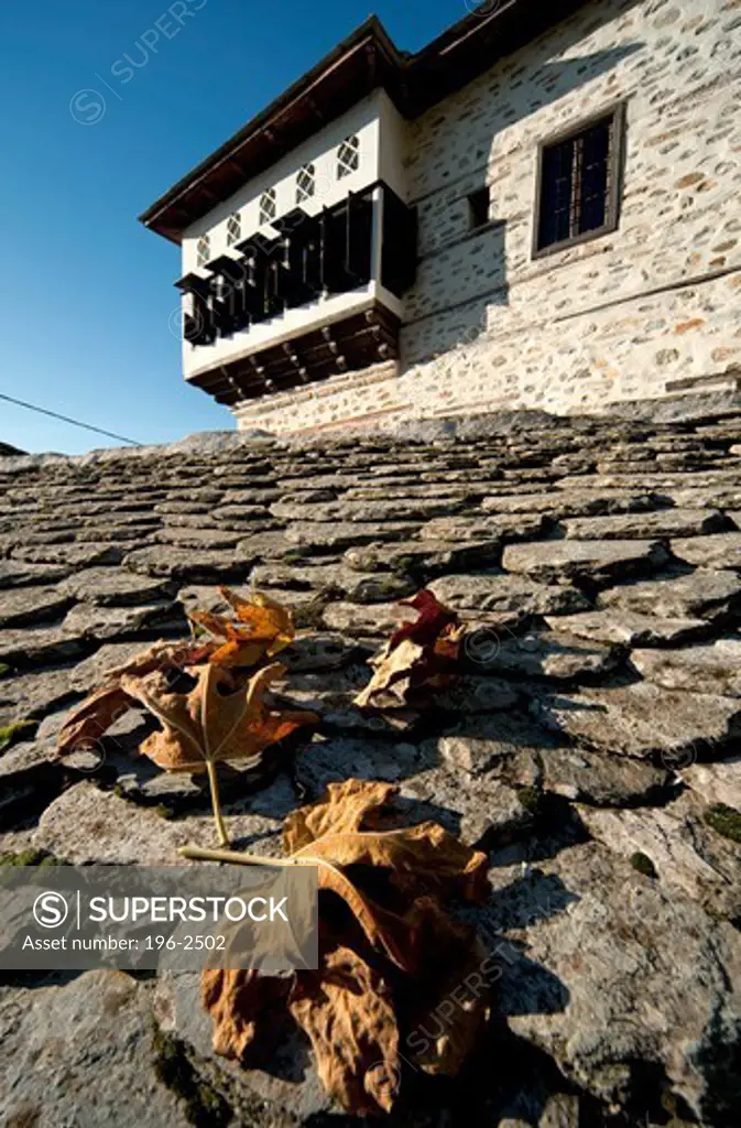 Greece, Thessalia, Pilio Mountain, Milies, Fallen leaves on paved road