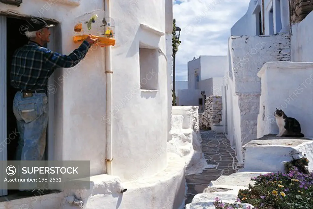 Greece, Cyclades, Kastro village, Man placing birds in cage outside