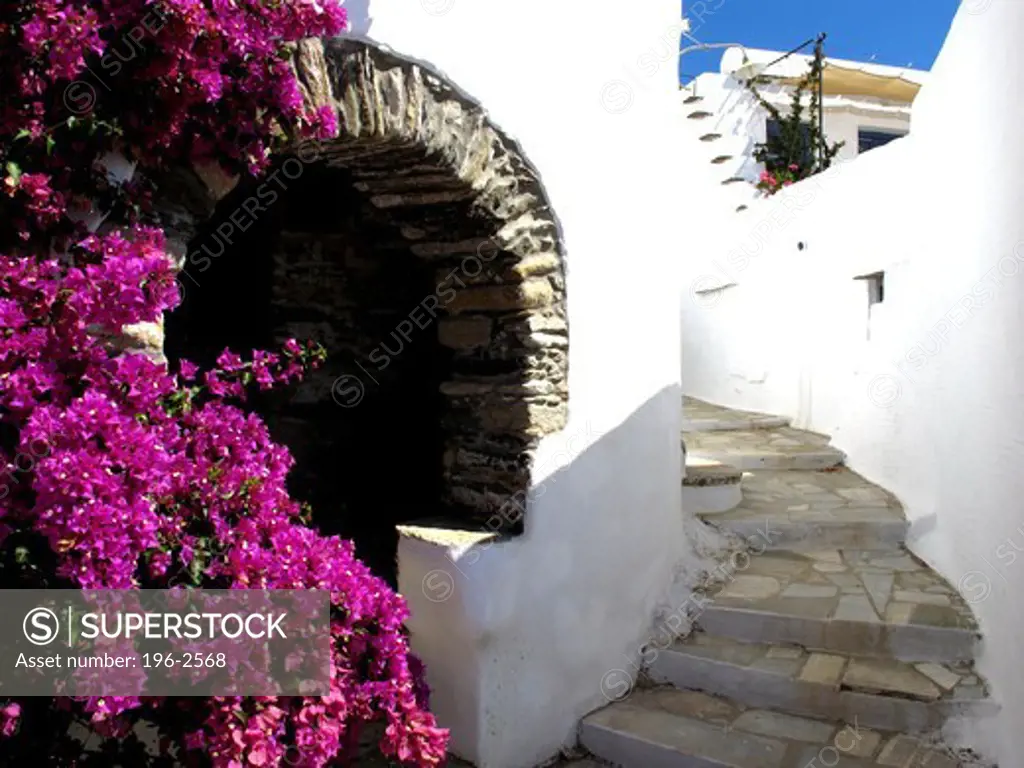 Greece, Cyclades, Tinos island, Flower and narrow alley