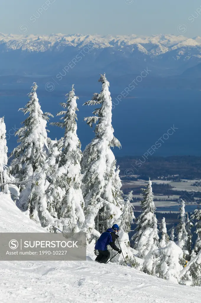 Skier on Mt Washington on Linton´s Loop. Georgia Strait and the Coast Range in the background. Mt. Washington. Vancouver Island, British Columbia, Can...