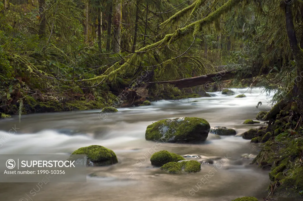 Goldstream River at Goldstream Provincial Park, Victoria, British Columbia, Canada.