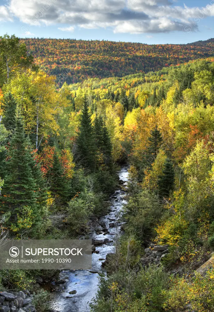 Small river surrounded by mountains and forest in fall foliage, Petite_Riviere_Saint_Francois, Charlevoix, Quebec, Canada