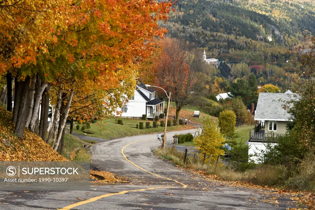 Country road descending into village and bordered by vividly coloured maple tree, Saint_Irenee, Quebec, Canada