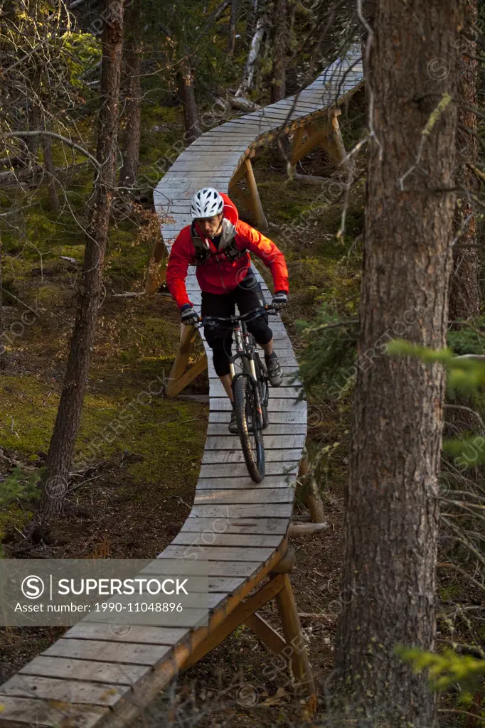 A male mountain biker enjoying perfect fall weather and singletrack in Whitehorse, Yukon