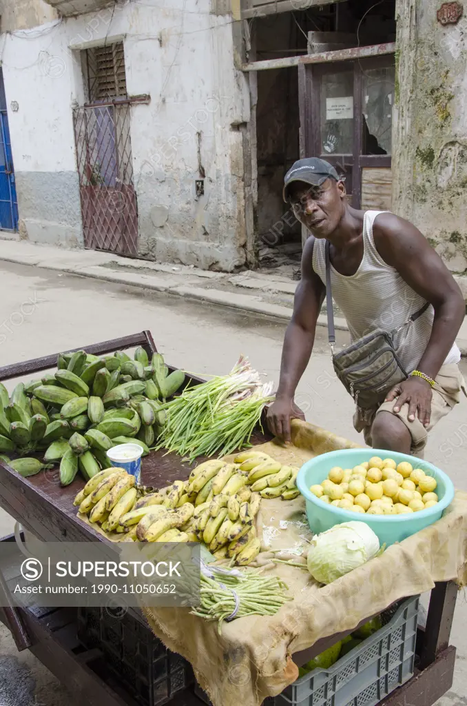 Street vendor, Havana Vieja, Havana, Cuba
