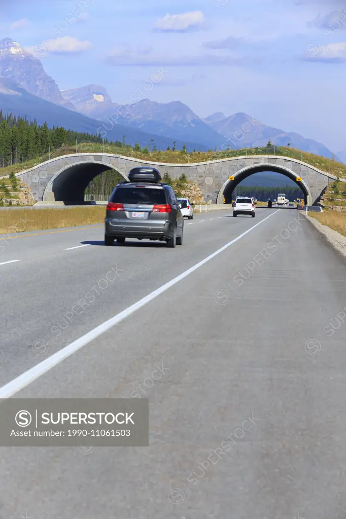 Wildlife bridge crossing over the Trans-Canada Highway, Banff National Park, Alberta, Canada