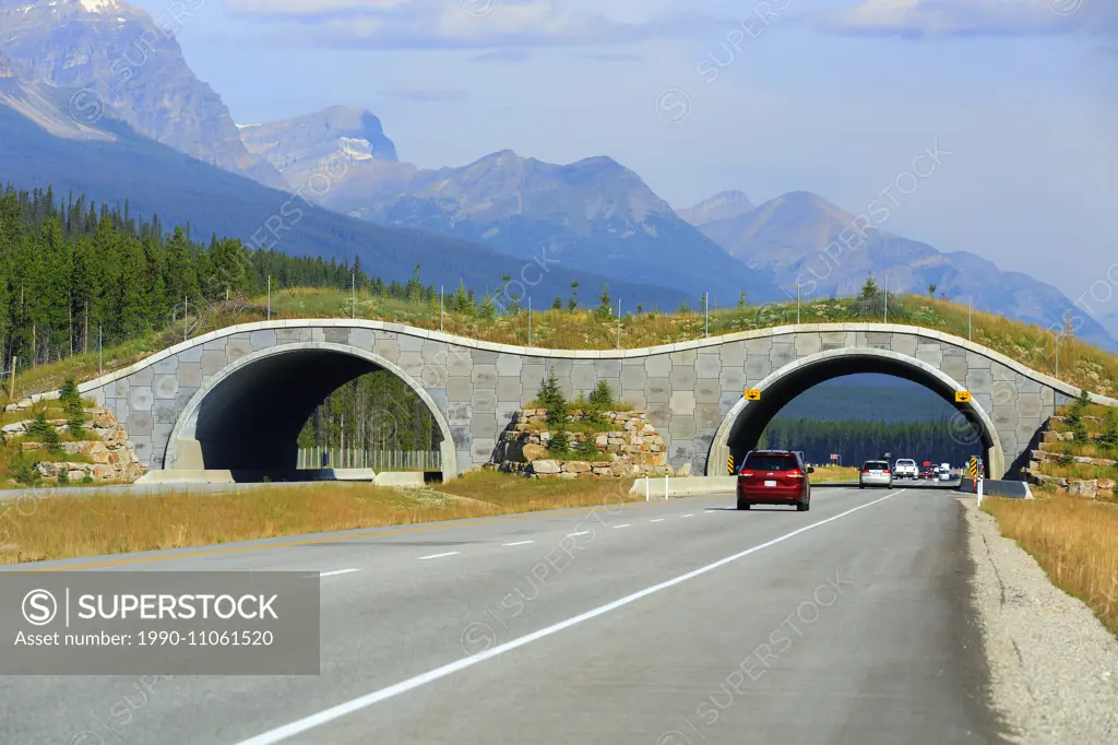 Wildlife bridge crossing over the Trans-Canada Highway, Banff National Park, Alberta, Canada