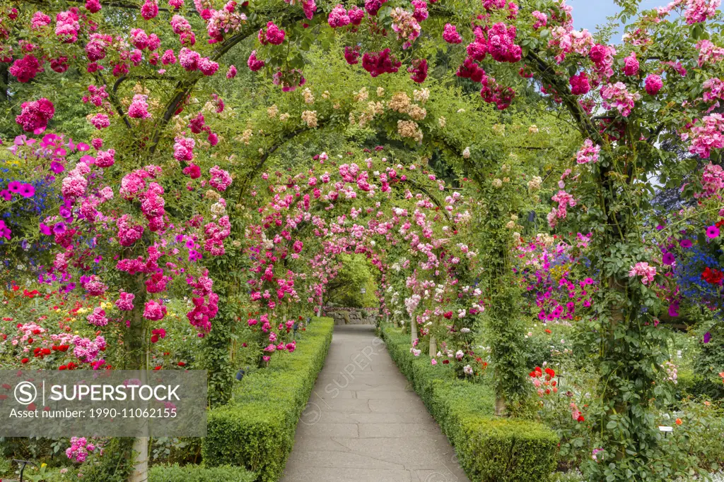 The Rose Garden, Butchart Gardens, Brentwood Bay, near Victoria, Vancouver Island, British Columbia, Canada