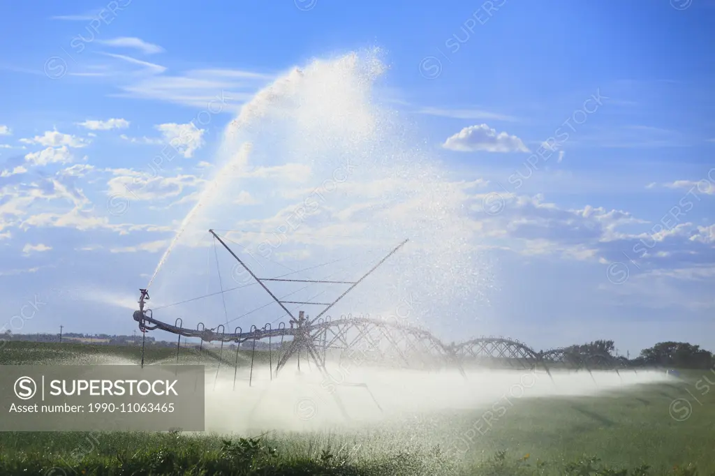 Center pivot water irrigation, near Lethbridge, Alberta, Canada