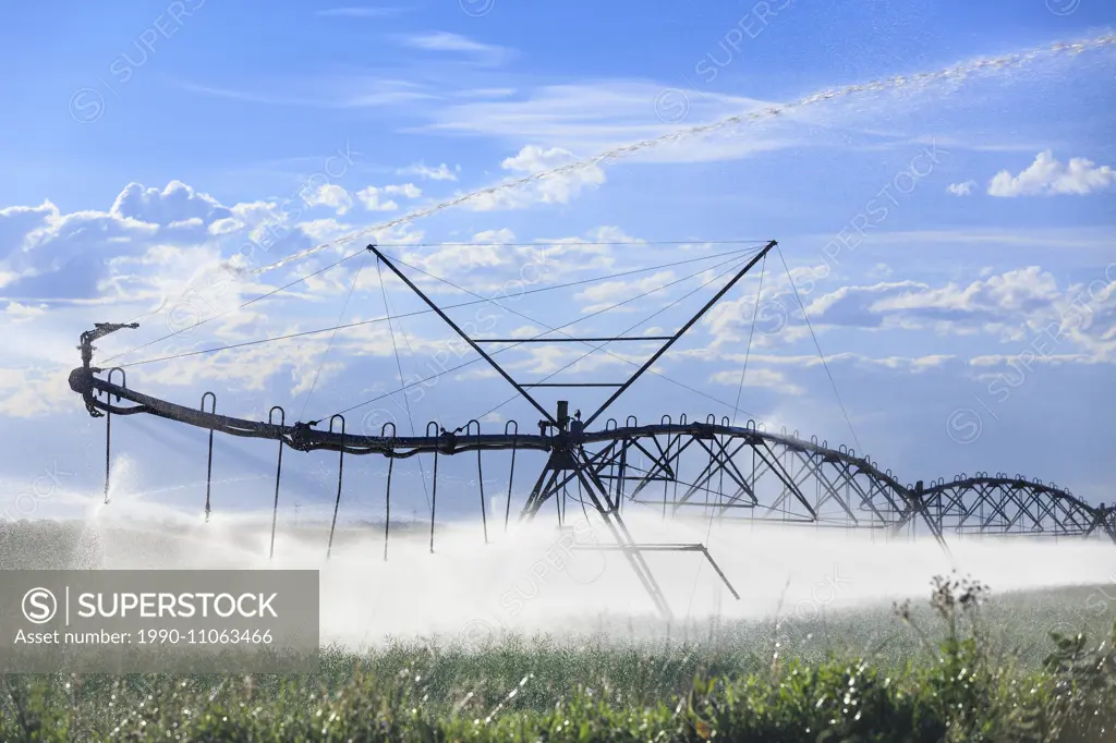Center pivot irrigation, near Lethbridge, Alberta, Canada