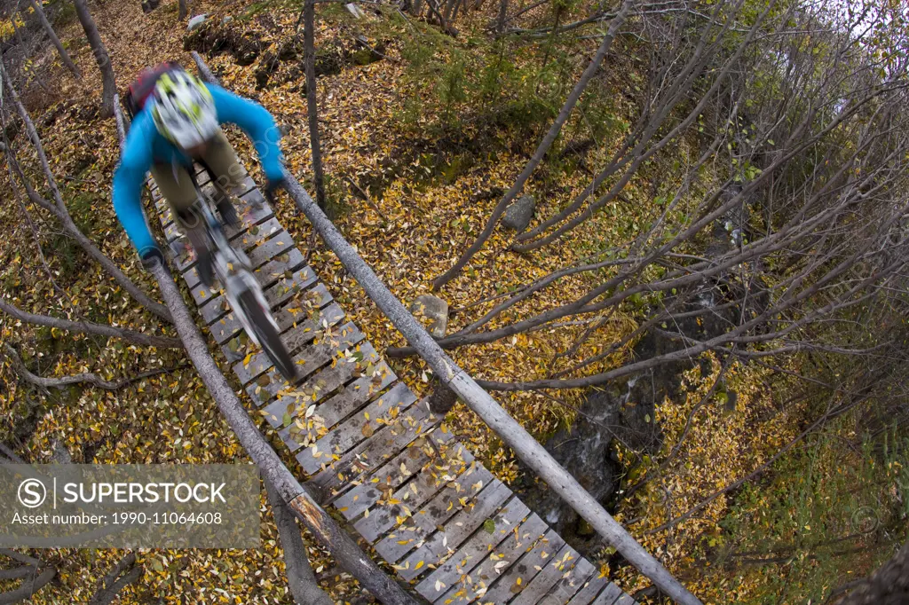 A male mountain biker rides the amazing trails of Carcross, Yukon during the fall colors.