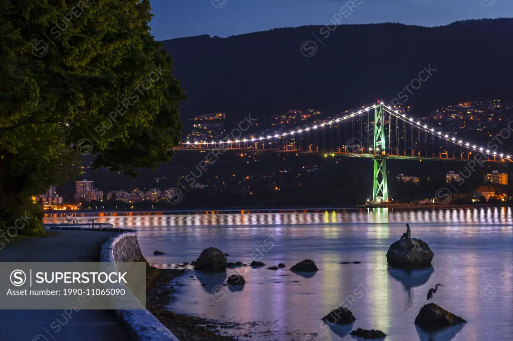 Lions Gate Bridge and Blue Heron, Vancouver, British Columbia, Canada