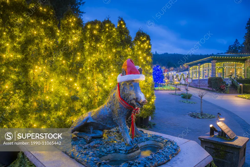 Chrismas display, Butchart Gardens, Brentwood Bay, Vancouver Island, British Columbia, Canada