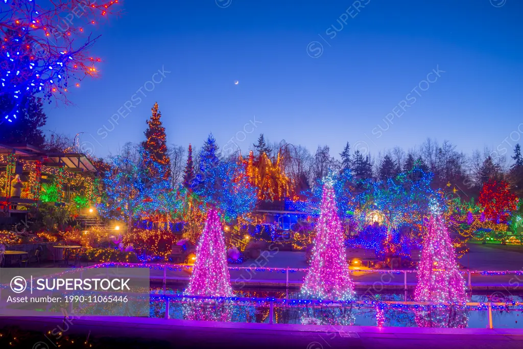 Festival of Lights, VanDusen Botanical Garden, Vancouver, British Columbia, Canada