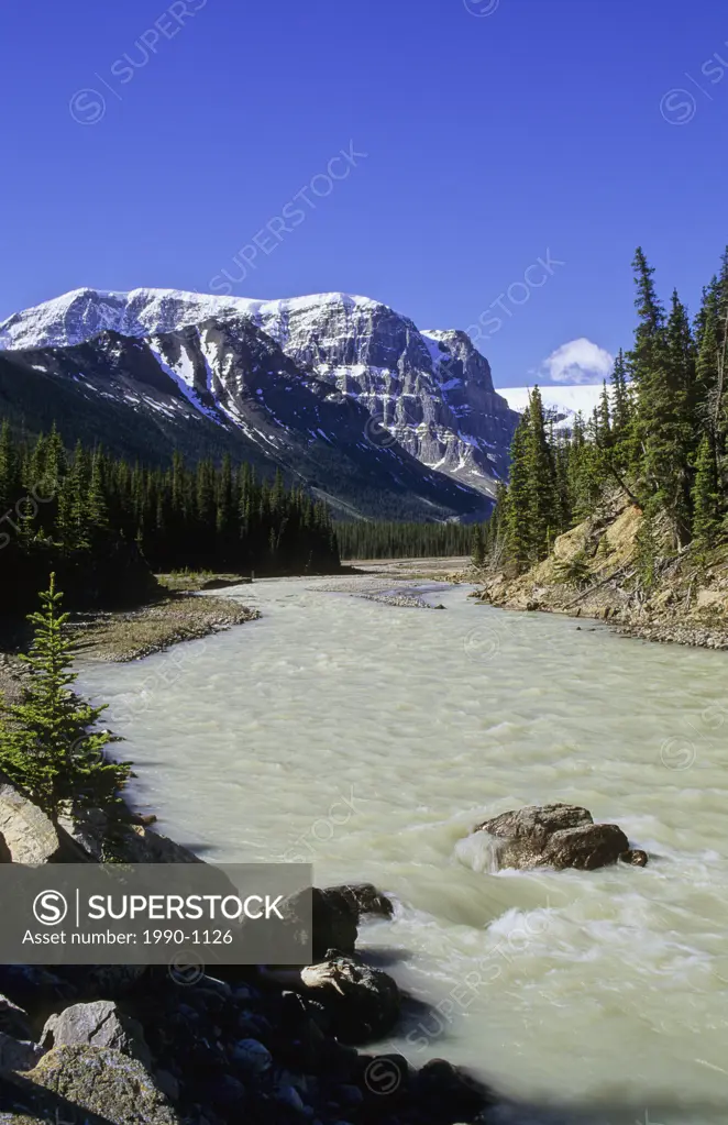 The Sunwapta River and Mount Kitchener, Jasper National Park, Alberta, Canada
