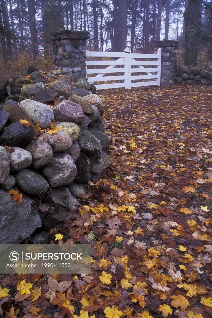Stone Fence and White Gate in Autumn, Kingsmere Estate, Gatineau Park, Quebec, Canada