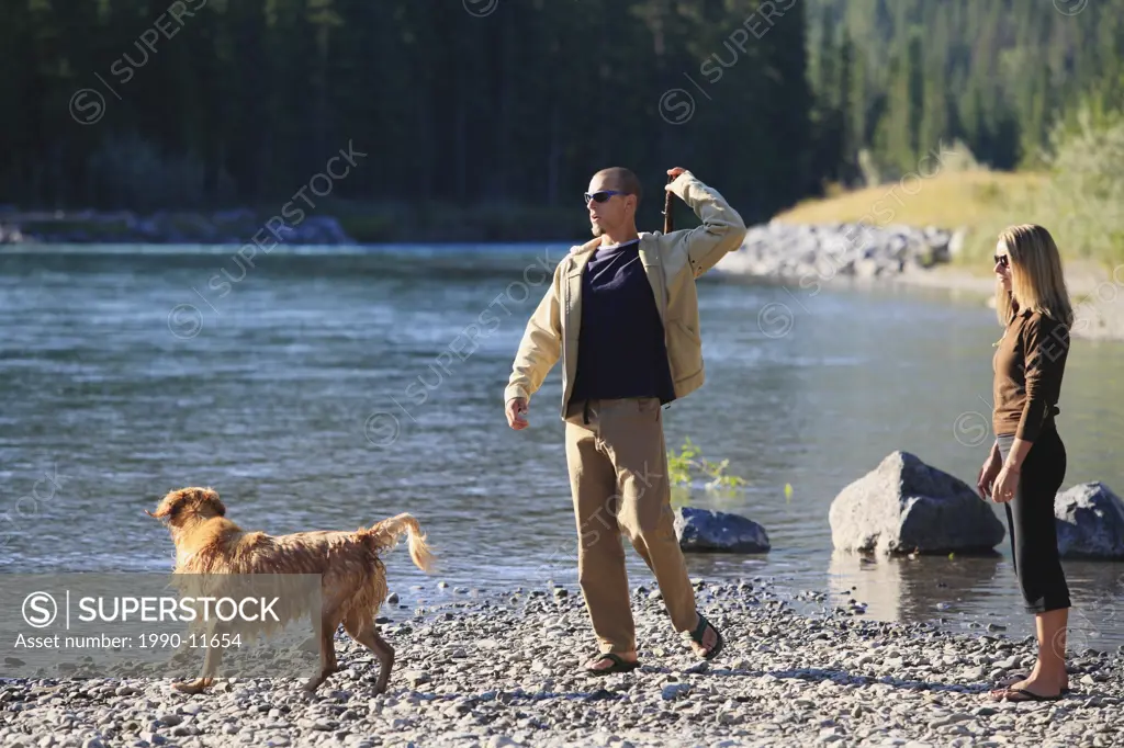 A young married couple and their golden retriever dog play fetch with a stick by the Bow River in Canmore, Alberta, Canada