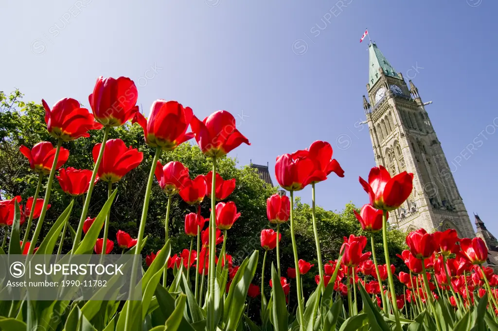 parliament buildings, Ottawa, Ontario, Canada.