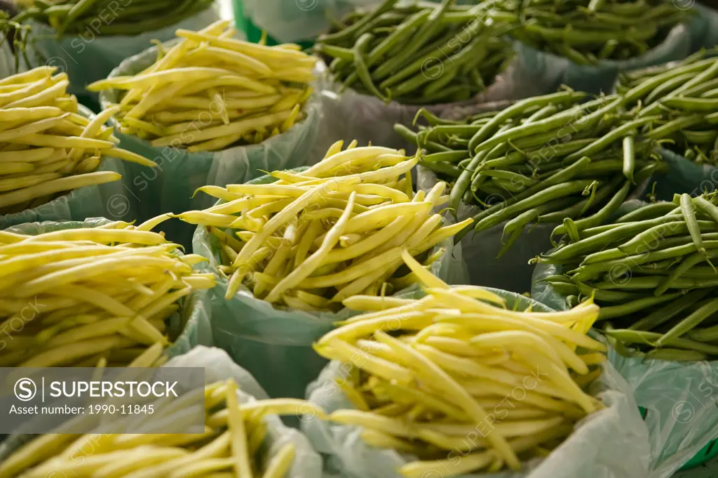 Jean_Talon farmer´s market string beans in baskets on display, Montreal, Quebec, Canada