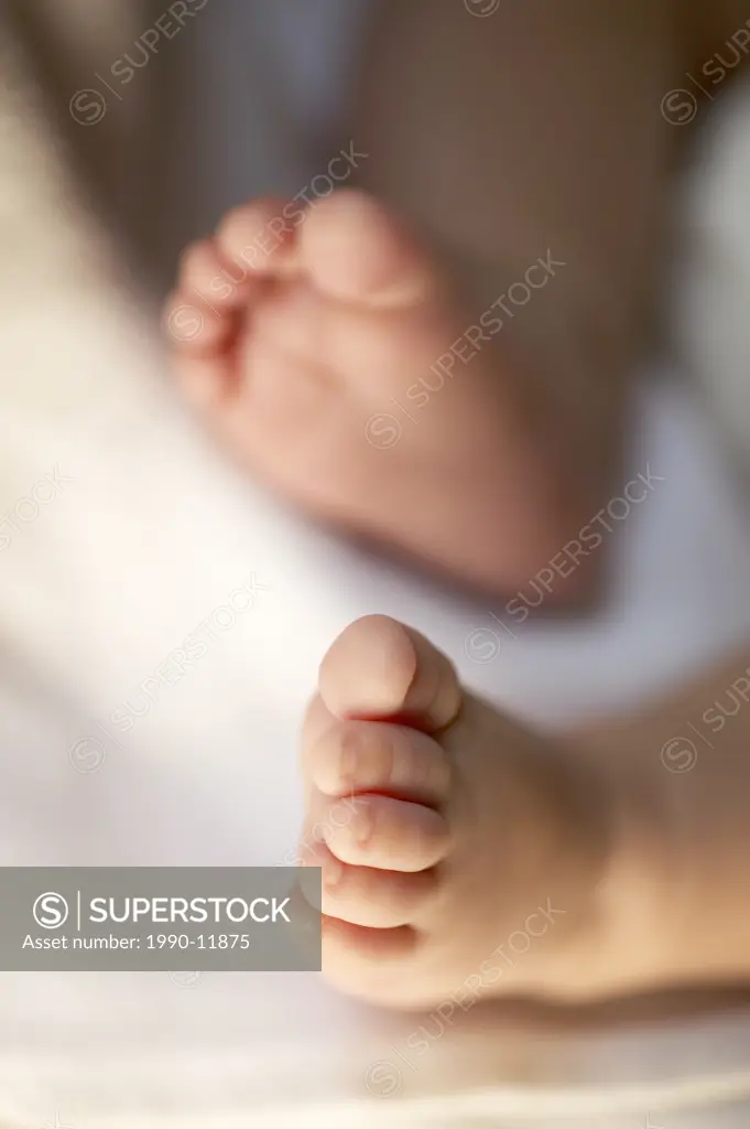 baby boy feet naked, Montreal, Quebec, Canada