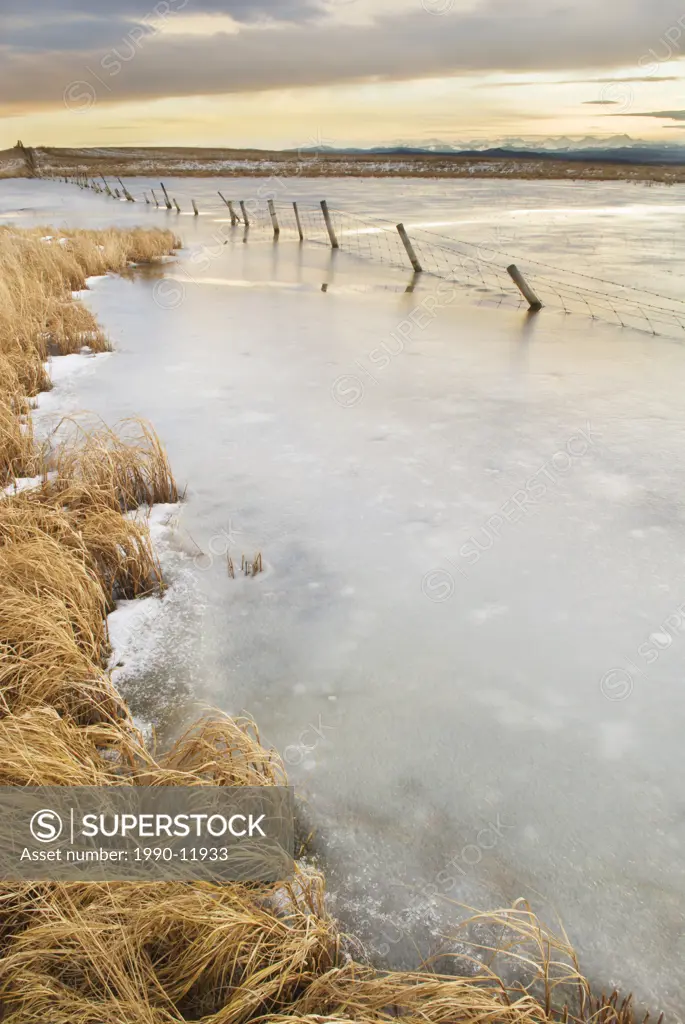 Frozen slough near Cochrane, Alberta, Canada