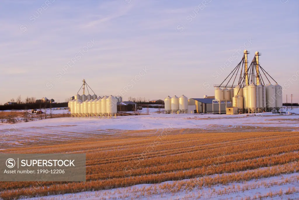 Grain bins in winter, Hesket, Alberta, Canada