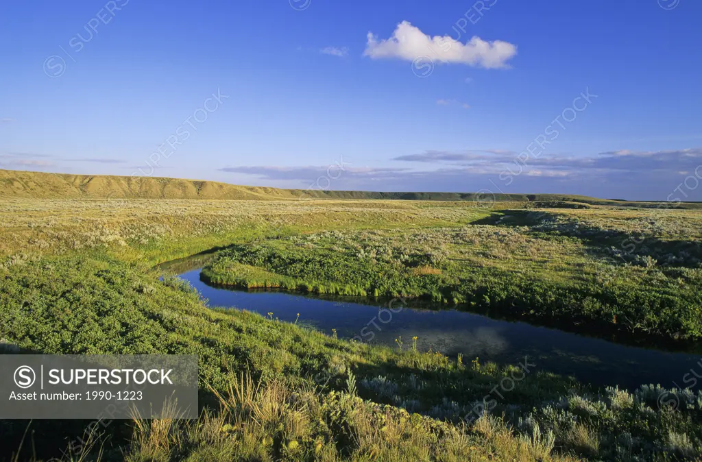 Prairie coulee in summer, Saskatchewan, Canada