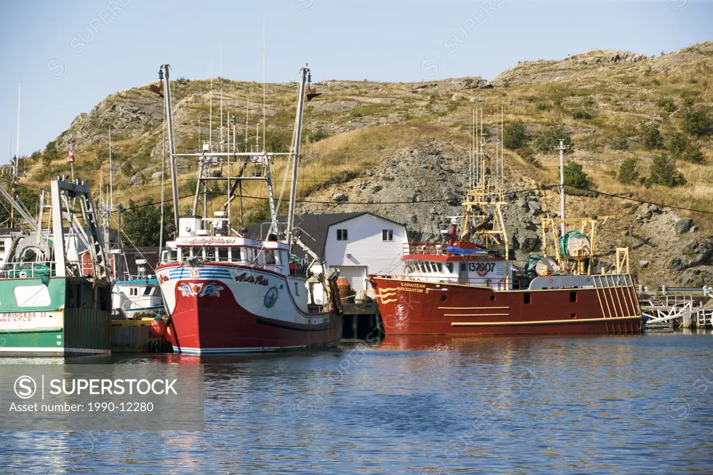 Fishing boats, Port de Grave, Harbour, Newfoundland, Canada, Commercial fishery