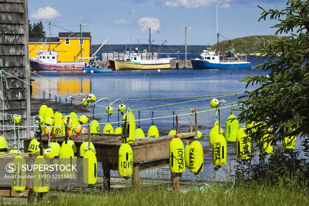 Rows of freshly painted buoys drying in the sun. The buoys are used to mark the location of lobster traps when they are submerged under water. In the ...